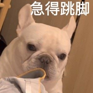 ERGGGDFDHDH435435