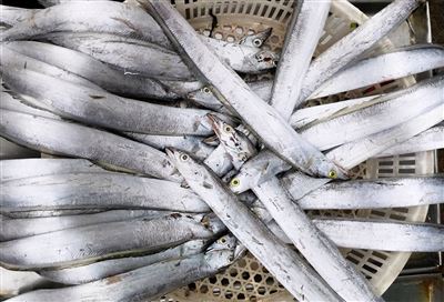 Dsadsdadsadsadsadsadasadadsadadadad